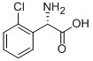 （S）-2-氯苯甘氨酸